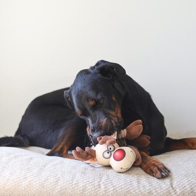 Show full view: SteelDog USA Christmas Holiday Ruffian Reindeer Crinkle Plush Dog Toy slide 2 of 6