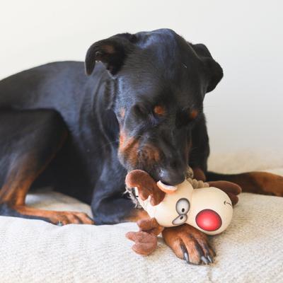 Show full view: SteelDog USA Christmas Holiday Ruffian Reindeer Crinkle Plush Dog Toy slide 4 of 6