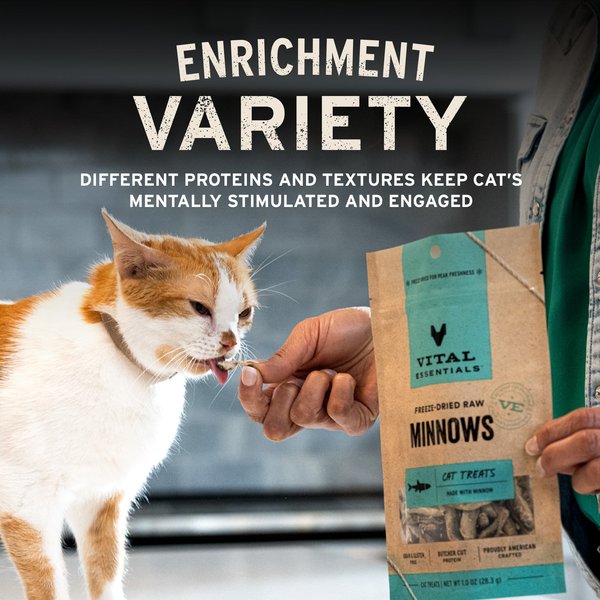 Vital Essentials Chicken Giblets Freeze-Dried Raw Cat Treats