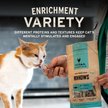 Vital Essentials Salmon Bites Freeze-Dried Raw Cat Treats