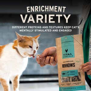 Vital Essentials Minnows Grain-Free Freeze-Dried Raw Cat Treats, 0.5-oz bag
