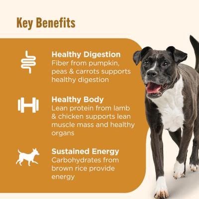 Show full view: Nutrish Gentle Digestion Lamb, Pumpkin & Chicken Chunks in Gravy Canned Dog Food, 13-oz can, case of 12 (Rachael Ray) slide 5 of 12