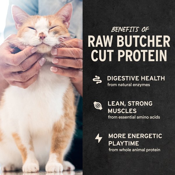 Vital Essentials Chicken Giblets Freeze-Dried Raw Cat Treats