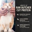 Vital Essentials Salmon Bites Freeze-Dried Raw Cat Treats