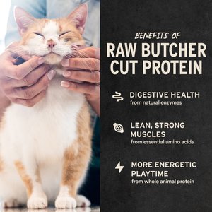 Vital Essentials Minnows Grain-Free Freeze-Dried Raw Cat Treats, 0.5-oz bag