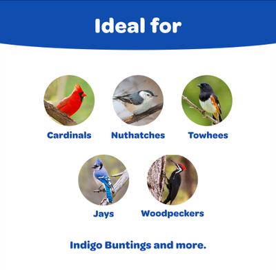 Show full view: Kaytee Peanuts Cardinal Bird Food, 11-lb bag slide 2 of 10