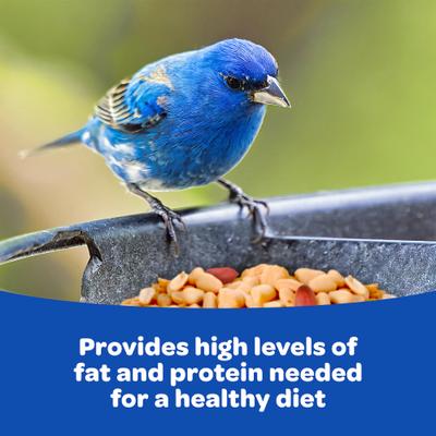 Show full view: Kaytee Peanuts Cardinal Bird Food, 11-lb bag slide 3 of 10