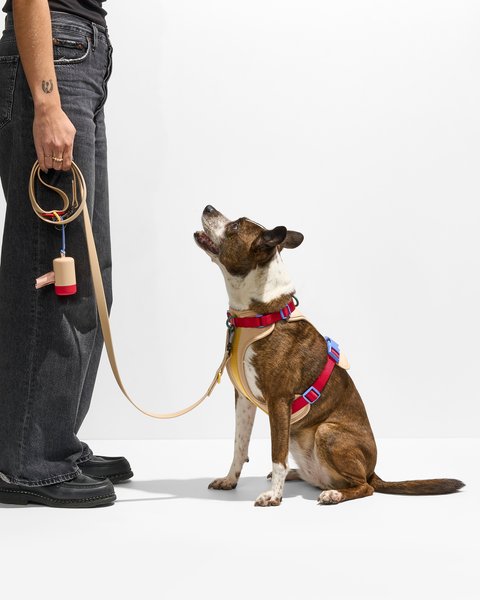 Show full view: Wild One Dog Poop Bag Carrier, Tan Colorblock slide 6 of 8