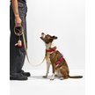 Show in main carousel: Wild One Dog Poop Bag Carrier, Tan Colorblock slide 6 of 8