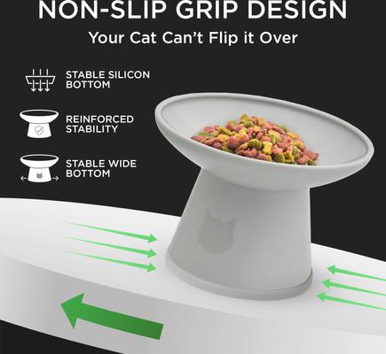 Show full view: Necoichi Extra Wide Raised Basic Edition Non-Skid Elevated Cat Bowl, Grey, 1.5-cup, 2 count slide 7 of 11