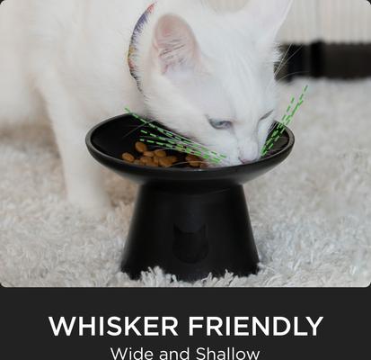 Show full view: Necoichi Extra Wide Raised Basic Edition Non-Skid Elevated Cat Bowl, Grey, 1.5-cup, 2 count slide 5 of 11