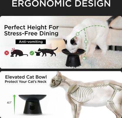 Show full view: Necoichi Extra Wide Raised Basic Edition Non-Skid Elevated Cat Bowl, Grey, 1.5-cup, 2 count slide 4 of 11
