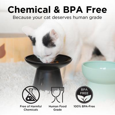 Show full view: Necoichi 2pcs Elevated BPA-Free Non-Skid Dishwasher-Safe Microwavable Whisker Relief Plastic, Ocean Mist, 1.5-cup slide 7 of 10