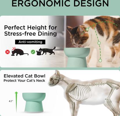 Show full view: Necoichi 2pcs Elevated BPA-Free Non-Skid Dishwasher-Safe Microwavable Whisker Relief Plastic, Ocean Mist, 1.5-cup slide 3 of 10