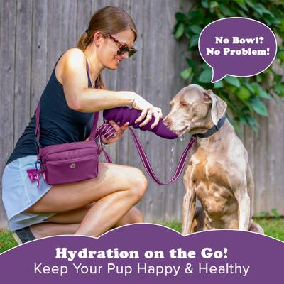 Show full view: Puppington Collapsible Silicone Dog Water Bottle, 18-oz, Plum Wine slide 8 of 9