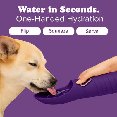 Show full view: Puppington Collapsible Silicone Dog Water Bottle, 18-oz, Plum Wine slide 4 of 9