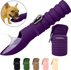 Puppington Collapsible Silicone Dog Water Bottle, 18-oz, Plum Wine