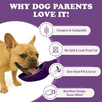 Show full view: Puppington Collapsible Silicone Dog Water Bottle, 18-oz, Plum Wine slide 3 of 9