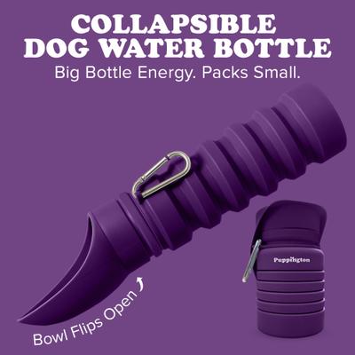 Show full view: Puppington Collapsible Silicone Dog Water Bottle, 18-oz, Plum Wine slide 2 of 9