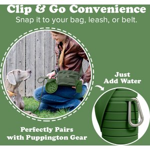 Puppington Collapsible Silicone Dog Water Bottle, 18-oz, Basil Green