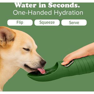Puppington Collapsible Silicone Dog Water Bottle, 18-oz, Basil Green