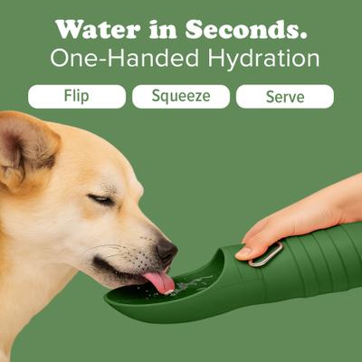 Show full view: Puppington Collapsible Silicone Dog Water Bottle, 18-oz, Basil Green slide 4 of 9