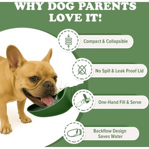 Puppington Collapsible Silicone Dog Water Bottle, 18-oz, Basil Green