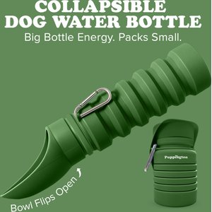 Puppington Collapsible Silicone Dog Water Bottle, 18-oz, Basil Green