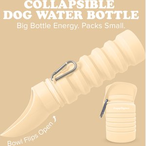 Puppington Collapsible Silicone Dog Water Bottle, 18-oz, Vanilla Cream