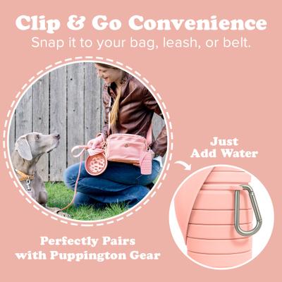 Show full view: Puppington Collapsible Silicone Dog Water Bottle, 18-oz, Blush Pink slide 7 of 10
