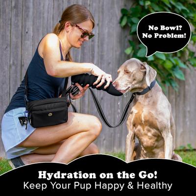 Show full view: Puppington Collapsible Silicone Dog Water Bottle, 18-oz, Onyx Black slide 8 of 9