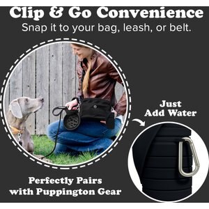 Puppington Collapsible Silicone Dog Water Bottle, 18-oz, Onyx Black