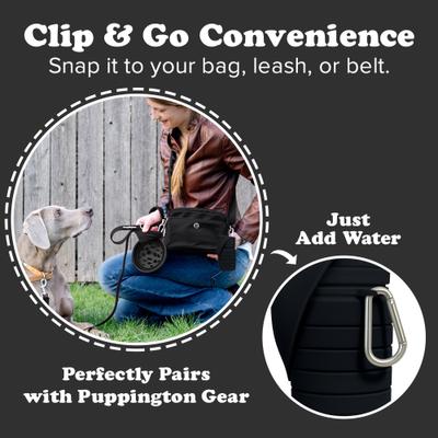 Show full view: Puppington Collapsible Silicone Dog Water Bottle, 18-oz, Onyx Black slide 6 of 9
