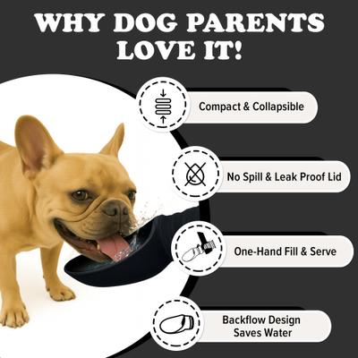 Show full view: Puppington Collapsible Silicone Dog Water Bottle, 18-oz, Onyx Black slide 3 of 9