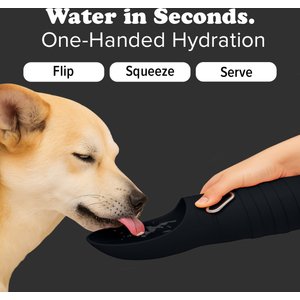 Puppington Collapsible Silicone Dog Water Bottle, 18-oz, Onyx Black