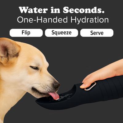 Show full view: Puppington Collapsible Silicone Dog Water Bottle, 18-oz, Onyx Black slide 4 of 9