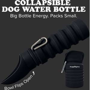 Puppington Collapsible Silicone Dog Water Bottle, 18-oz, Onyx Black