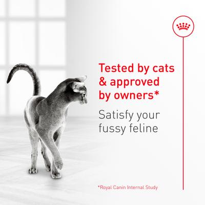 Show full view: Royal Canin Fussy Adult Dry Cat Food, 12-oz bag slide 6 of 10
