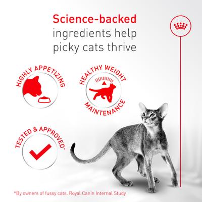 Show full view: Royal Canin Fussy Adult Dry Cat Food, 12-oz bag slide 4 of 10