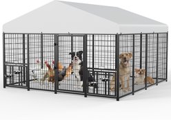 LovMor Heavy Duty Outdoor Dog Kennel with Rotating Bowls, 10 x 10 x 6.5-ft