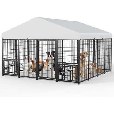 LovMor LovMor Heavy Duty Outdoor Dog Kennel with Rotating Bowls, 10 x 10 x 6.5-ft