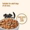 Show in main carousel: Nutrish Gentle Digestion Lamb, Pumpkin & Chicken Chunks in Gravy Canned Dog Food, 13-oz can, case of 12 (Rachael Ray) slide 7 of 12