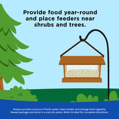 Show full view: Kaytee Peanuts Cardinal Bird Food, 11-lb bag slide 5 of 10