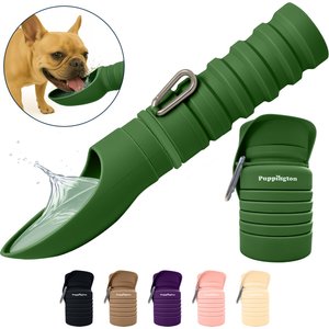 Puppington Collapsible Silicone Dog Water Bottle, 18-oz, Basil Green