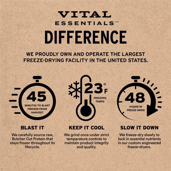 Vital Essentials Minnows Freeze-Dried Raw Cat Treats
