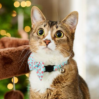 Show full view: Frisco Christmas Peppermint Print Breakaway Cat Collar with Bell & Removable Bow, 8 to 12-in neck, 3/8-in wide slide 7 of 10