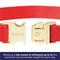 Show in main carousel: Frisco Christmas Velvet Dog Collar with Removable Gift Bow, M: 14 to 20-in neck, 3/4-in wide slide 4 of 10