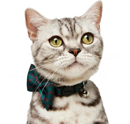 Show full view: Frisco Christmas Bows Print Breakaway Cat Collar with Bell & Removable Bow, 8 to 12-in neck, 3/8-in wide slide 4 of 10