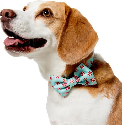 Show full view: Frisco Christmas Peppermint Print Dog Collar with Removable Bow, M: 14 to 20-in neck, 3/4-in wide slide 3 of 10