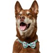 Show in main carousel: Frisco Peppermint Print Dog Collar with Removable Bow, L/XL: 18 to 26-in neck, 1-in wide slide 3 of 10